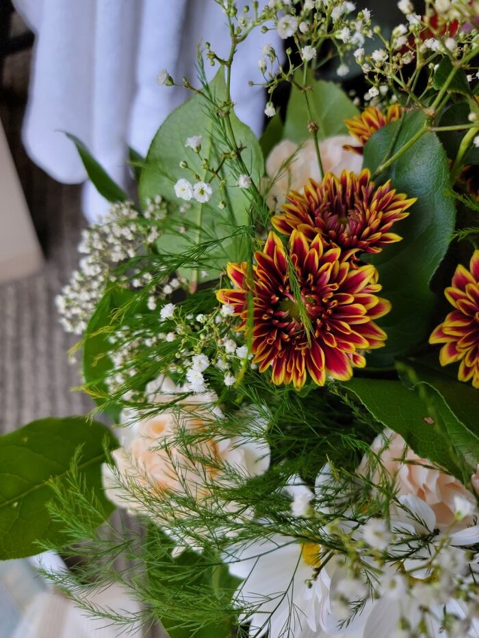 Hey Pandas, What’s A Photo You Took With Your Phone That Seems Professional? (Closed) Hey Pandas, What’s A Photo You Took With Your Phone That Seems Professional? (Closed)