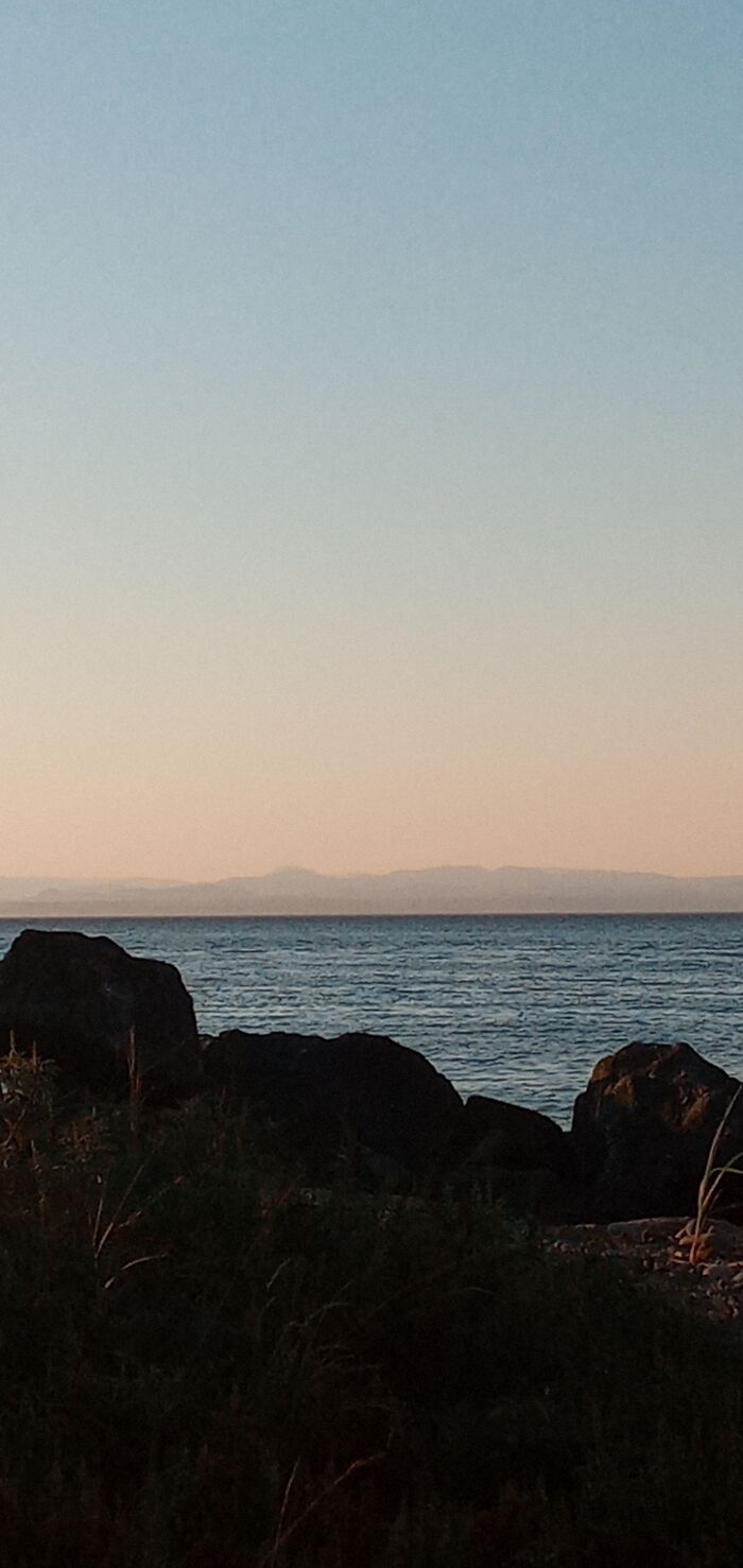 Hey Pandas, What’s A Photo You Took With Your Phone That Seems Professional? (Closed) Hey Pandas, What’s A Photo You Took With Your Phone That Seems Professional? (Closed)