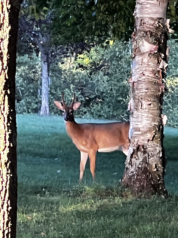 Hey Pandas, What’s A Photo You Took With Your Phone That Seems Professional? (Closed) Hey Pandas, What’s A Photo You Took With Your Phone That Seems Professional? (Closed)