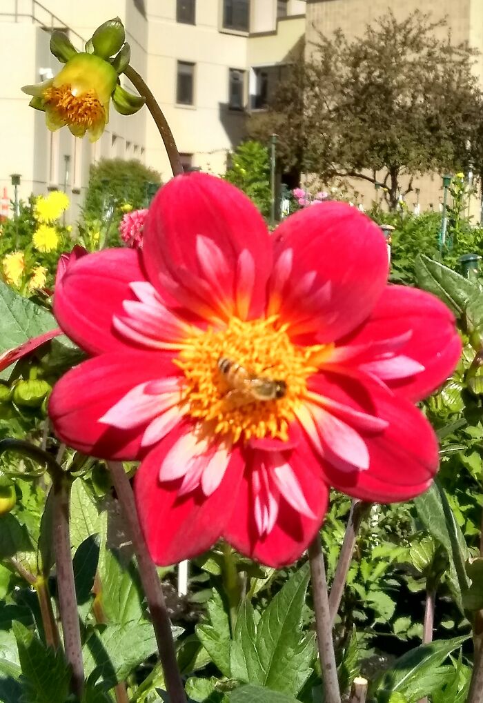 Hey Pandas, What’s A Photo You Took With Your Phone That Seems Professional? (Closed) Hey Pandas, What’s A Photo You Took With Your Phone That Seems Professional? (Closed)