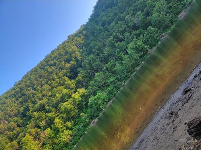 Hey Pandas, What’s A Photo You Took With Your Phone That Seems Professional? (Closed) Hey Pandas, What’s A Photo You Took With Your Phone That Seems Professional? (Closed)