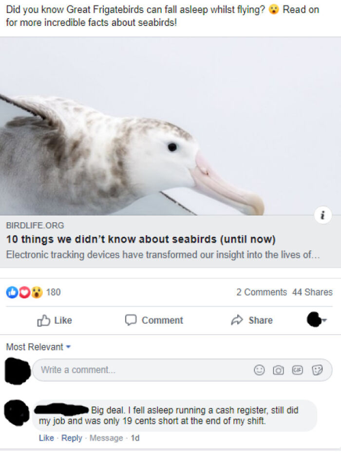 50 Times People Bragged And Were Shamed For It In This “Weird Flex But Ok” Online Group