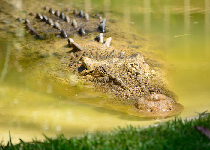 30 Animals That People Are Scared Of Or Don’t Like When They Really Shouldn’t, As Shared In This Online Thread 30 Animals That People Are Scared Of Or Don’t Like When They Really Shouldn’t, As Shared In This Online Thread