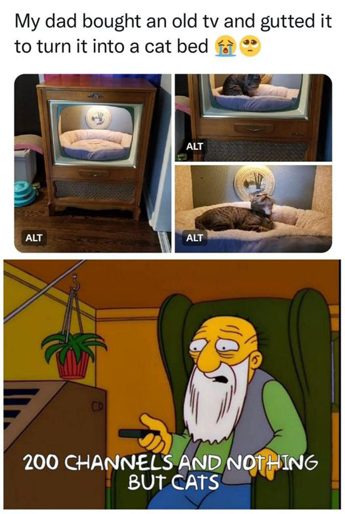 50 Perfectly Accurate Pics And Memes That Capture What It’s Like Living With Cats 50 Perfectly Accurate Pics And Memes That Capture What It’s Like Living With Cats