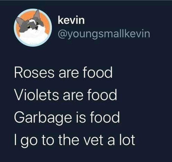 50 Perfectly Accurate Pics And Memes That Capture What It’s Like Living With Cats 50 Perfectly Accurate Pics And Memes That Capture What It’s Like Living With Cats