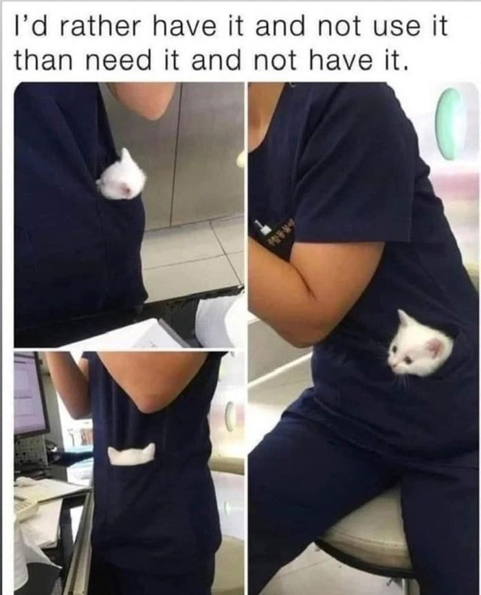 50 Perfectly Accurate Pics And Memes That Capture What It’s Like Living With Cats 50 Perfectly Accurate Pics And Memes That Capture What It’s Like Living With Cats