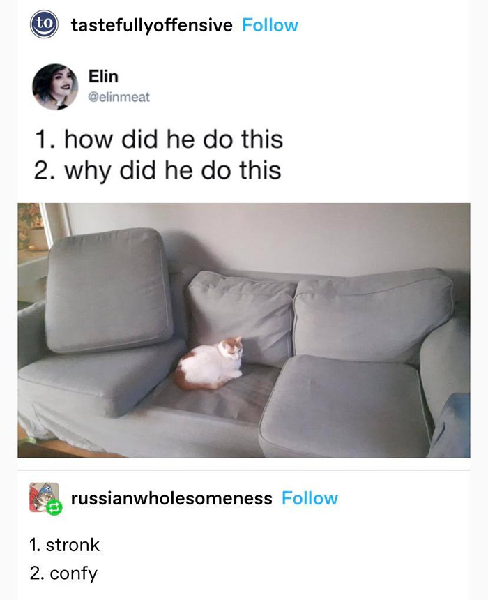 50 Perfectly Accurate Pics And Memes That Capture What It’s Like Living With Cats 50 Perfectly Accurate Pics And Memes That Capture What It’s Like Living With Cats