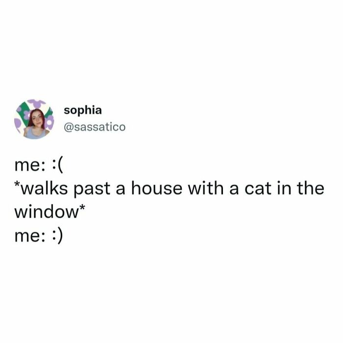 50 Perfectly Accurate Pics And Memes That Capture What It’s Like Living With Cats 50 Perfectly Accurate Pics And Memes That Capture What It’s Like Living With Cats