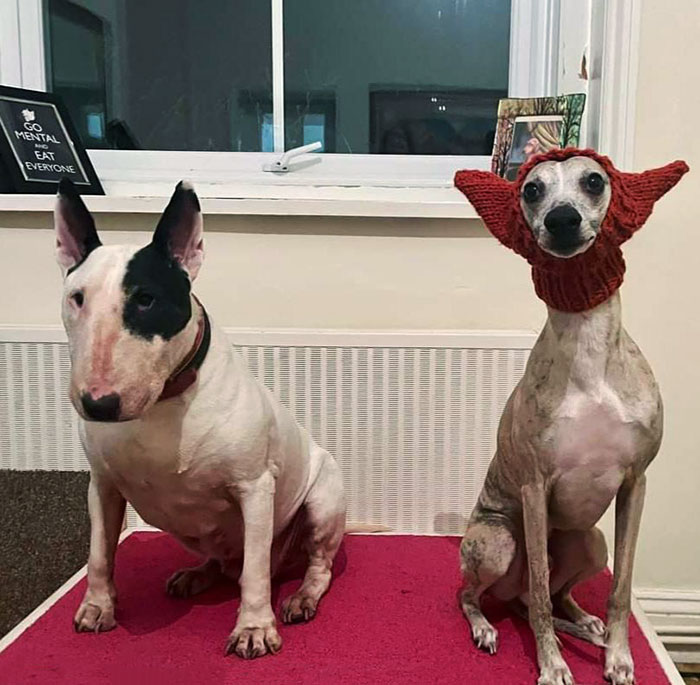 50 Times People Failed At DIY So Badly, They Just Had To Share The Results Online 50 Times People Failed At DIY So Badly, They Just Had To Share The Results Online