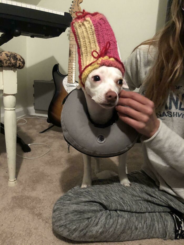 50 Times People Failed At DIY So Badly, They Just Had To Share The Results Online 50 Times People Failed At DIY So Badly, They Just Had To Share The Results Online