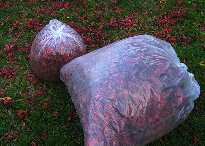 30 People Share The Funniest Things They’ve Heard Their Partners Say In Their Sleep 30 People Share The Funniest Things They’ve Heard Their Partners Say In Their Sleep