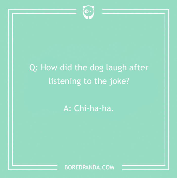 Tons Of Jokes About Dogs To Share With Your Good Boi Or Gal Tons Of Jokes About Dogs To Share With Your Good Boi Or Gal