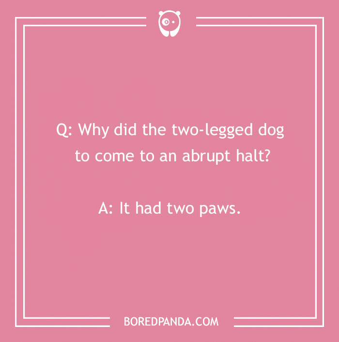 Tons Of Jokes About Dogs To Share With Your Good Boi Or Gal Tons Of Jokes About Dogs To Share With Your Good Boi Or Gal