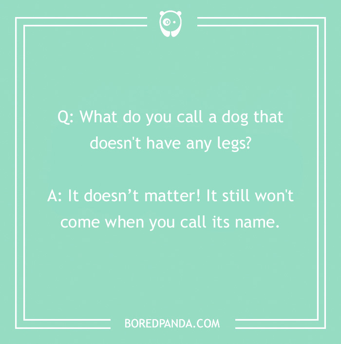 Tons Of Jokes About Dogs To Share With Your Good Boi Or Gal Tons Of Jokes About Dogs To Share With Your Good Boi Or Gal