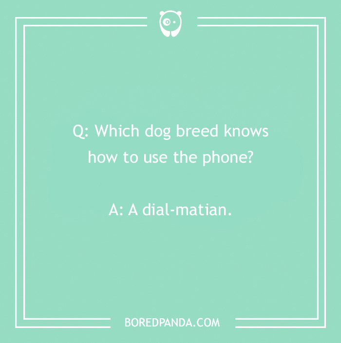 Tons Of Jokes About Dogs To Share With Your Good Boi Or Gal Tons Of Jokes About Dogs To Share With Your Good Boi Or Gal