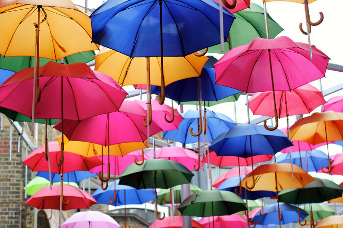 30 Times People Did Something So Stupid That It Surprised Even Themselves, As Shared In This Online Group