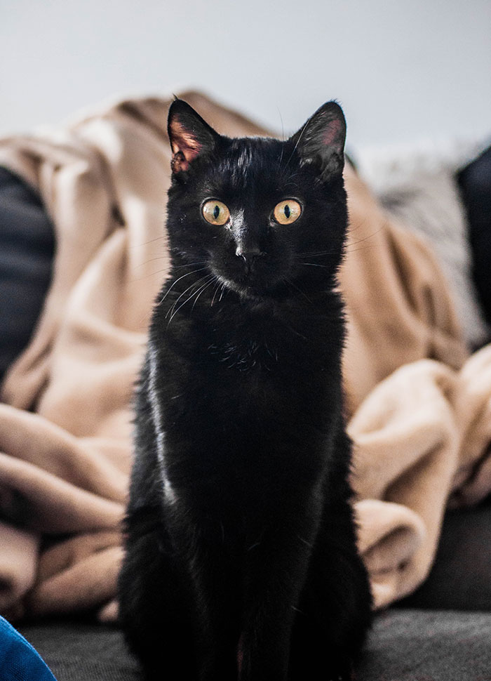 30 Things That Are Pretty Much Universally Hated By Most People For No Good Reason 30 Things That Are Pretty Much Universally Hated By Most People For No Good Reason