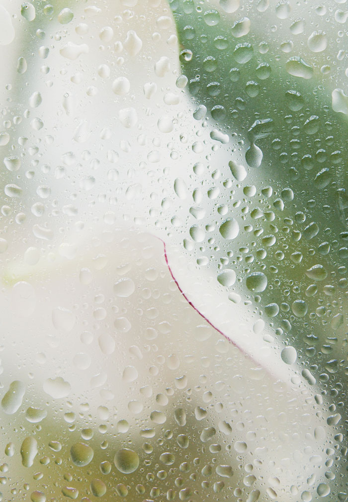 30 Things That Are Pretty Much Universally Hated By Most People For No Good Reason 30 Things That Are Pretty Much Universally Hated By Most People For No Good Reason