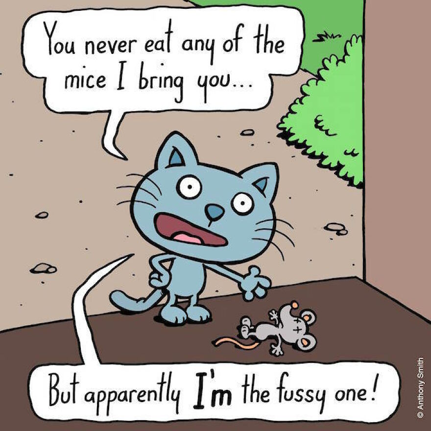 These One-Panel Cat Comics By Anthony Smith Purrfectly Capture What Having A Cat Is Like (40 Pics) These One-Panel Cat Comics By Anthony Smith Purrfectly Capture What Having A Cat Is Like (40 Pics)