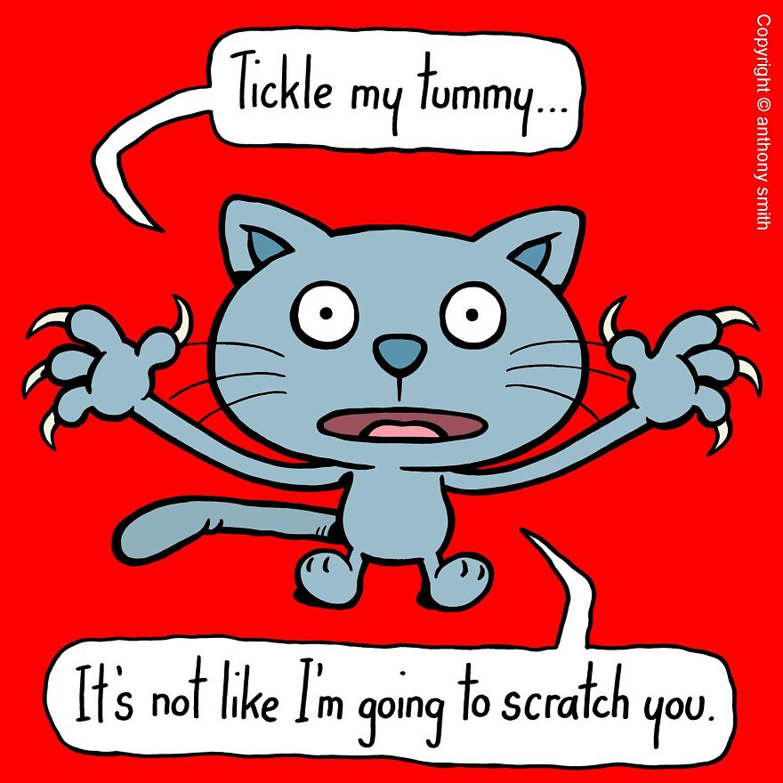 These One-Panel Cat Comics By Anthony Smith Purrfectly Capture What Having A Cat Is Like (40 Pics) These One-Panel Cat Comics By Anthony Smith Purrfectly Capture What Having A Cat Is Like (40 Pics)