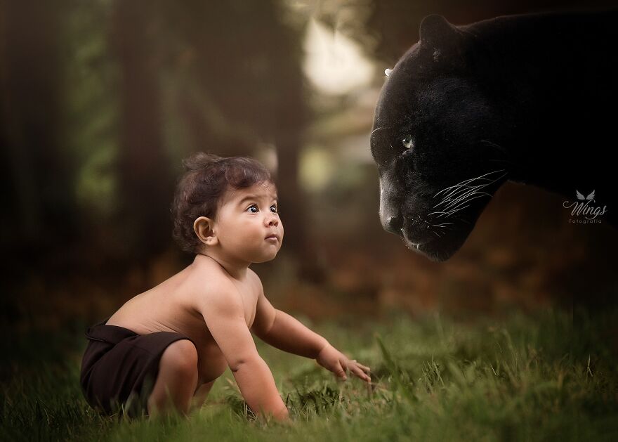 I Create Magical Scenarios With Wildlife Using Photoshop (16 Pics)