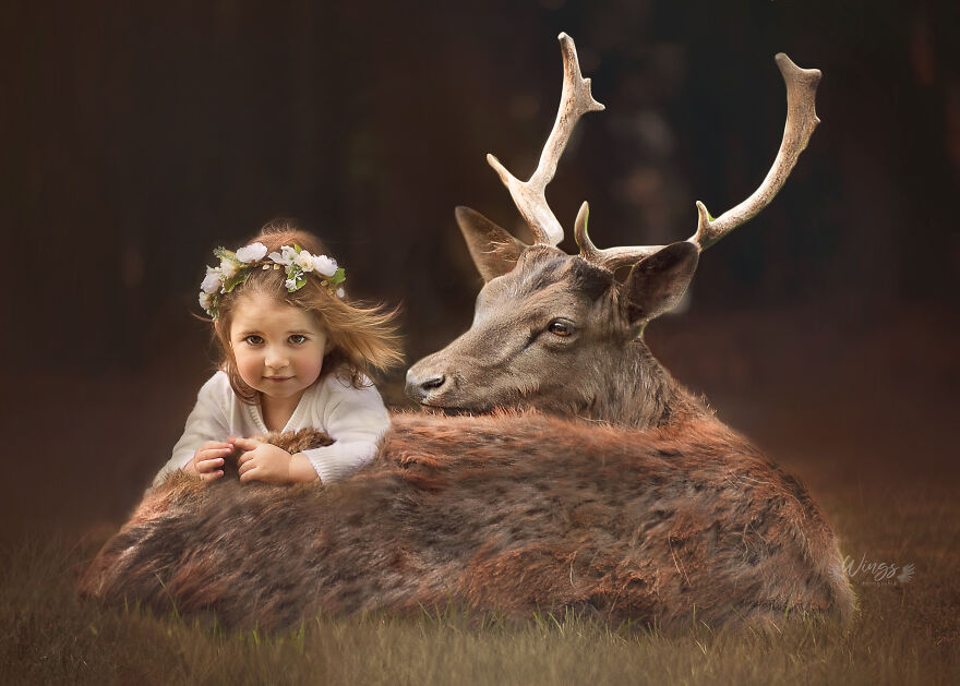 I Create Magical Scenarios With Wildlife Using Photoshop (16 Pics)