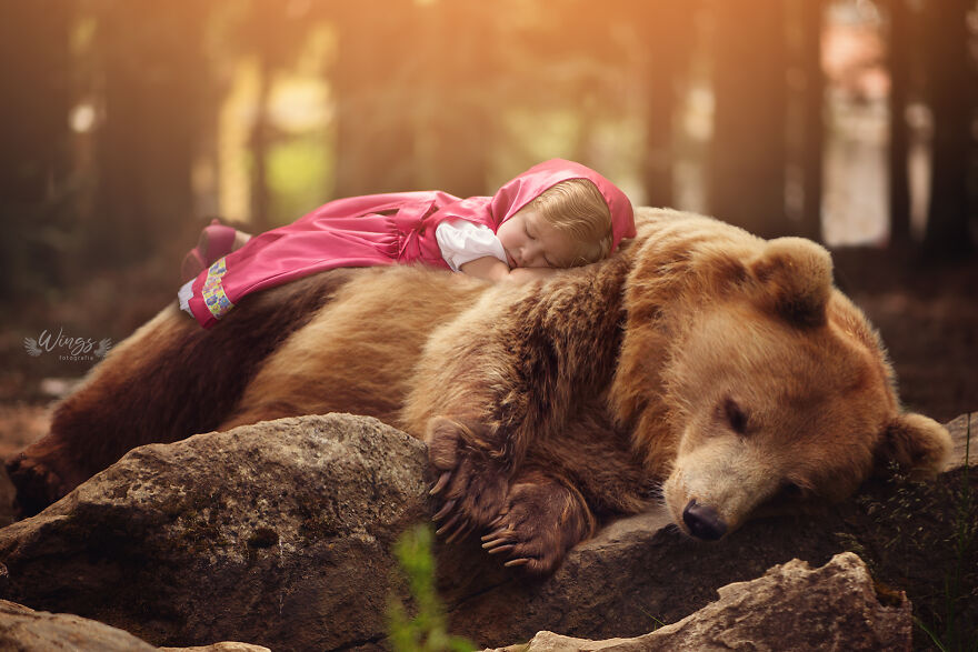 I Create Magical Scenarios With Wildlife Using Photoshop (16 Pics)