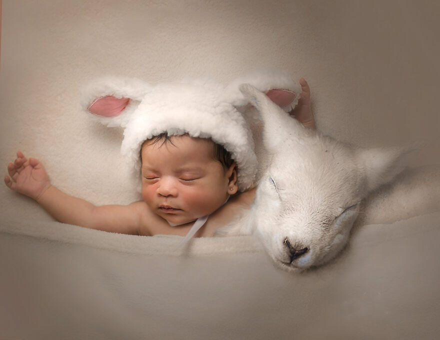 I Create Magical Scenarios With Wildlife Using Photoshop (16 Pics)