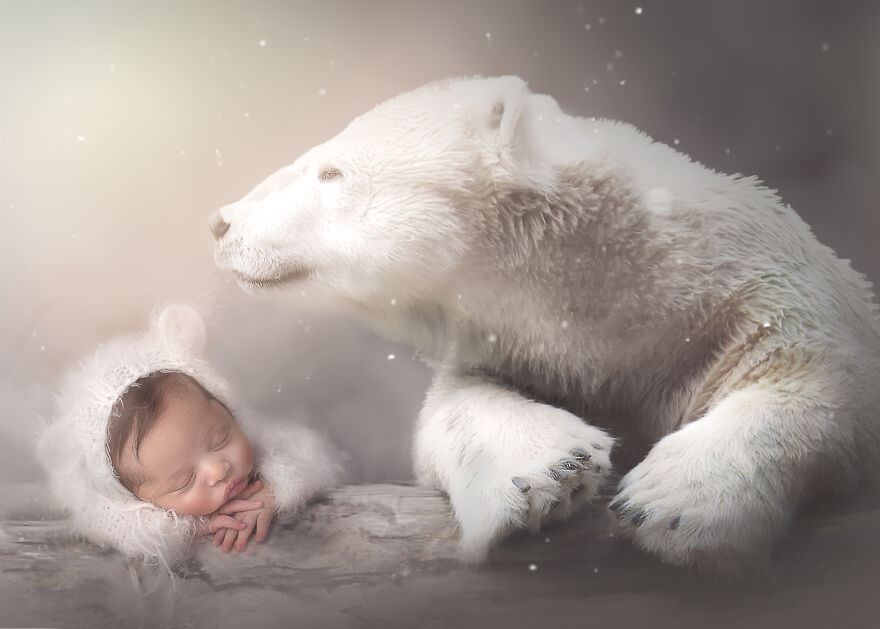 I Create Magical Scenarios With Wildlife Using Photoshop (16 Pics)