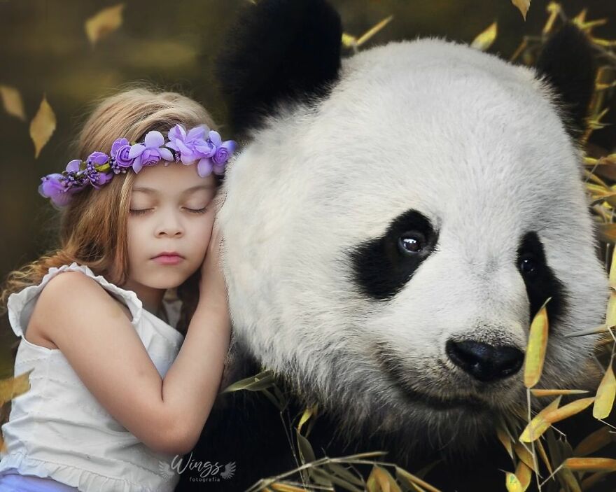 I Create Magical Scenarios With Wildlife Using Photoshop (16 Pics)