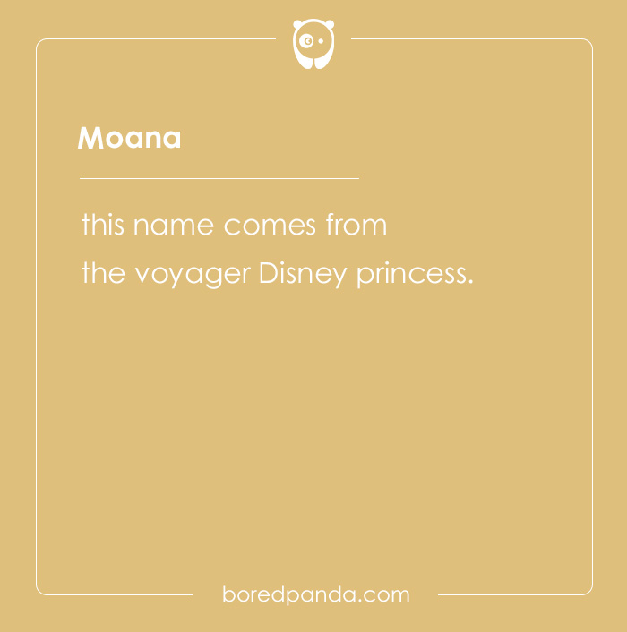 135 Unique and Cute Pet Names To Melt Your Heart 135 Unique and Cute Pet Names To Melt Your Heart