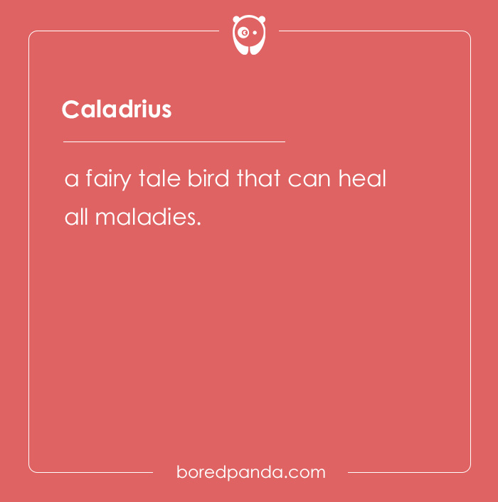 135 Unique and Cute Pet Names To Melt Your Heart 135 Unique and Cute Pet Names To Melt Your Heart