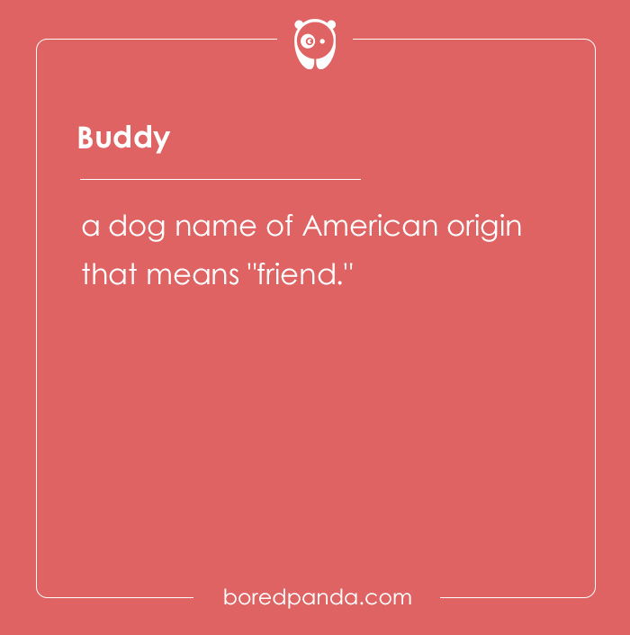 135 Unique and Cute Pet Names To Melt Your Heart 135 Unique and Cute Pet Names To Melt Your Heart