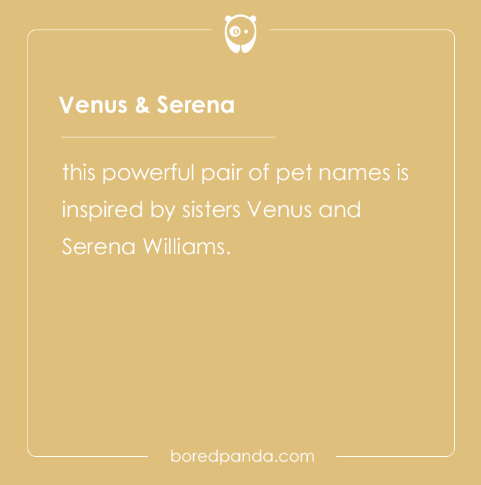 135 Unique and Cute Pet Names To Melt Your Heart 135 Unique and Cute Pet Names To Melt Your Heart