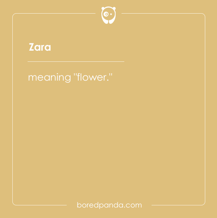 135 Unique and Cute Pet Names To Melt Your Heart 135 Unique and Cute Pet Names To Melt Your Heart