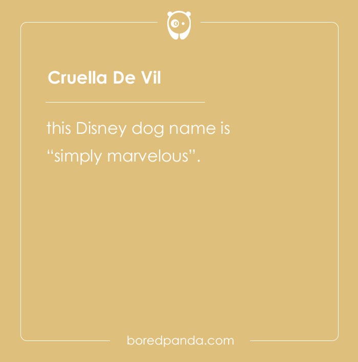 135 Unique and Cute Pet Names To Melt Your Heart 135 Unique and Cute Pet Names To Melt Your Heart