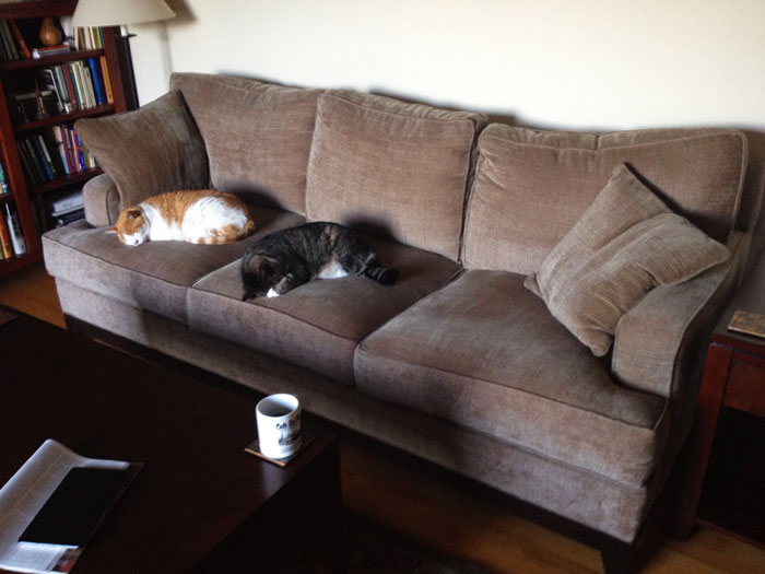 “I Offered To Let My Mom Live With Me Under The Exact Same Terms I Lived With Her As A Teen” “I Offered To Let My Mom Live With Me Under The Exact Same Terms I Lived With Her As A Teen”