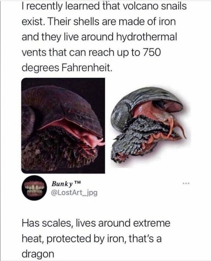 50 Of The Cleverest Science Memes That Perfectly Blend Humor With Knowledge 50 Of The Cleverest Science Memes That Perfectly Blend Humor With Knowledge