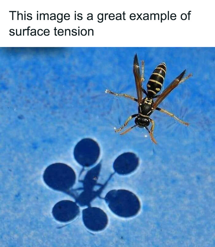 50 Of The Cleverest Science Memes That Perfectly Blend Humor With Knowledge 50 Of The Cleverest Science Memes That Perfectly Blend Humor With Knowledge