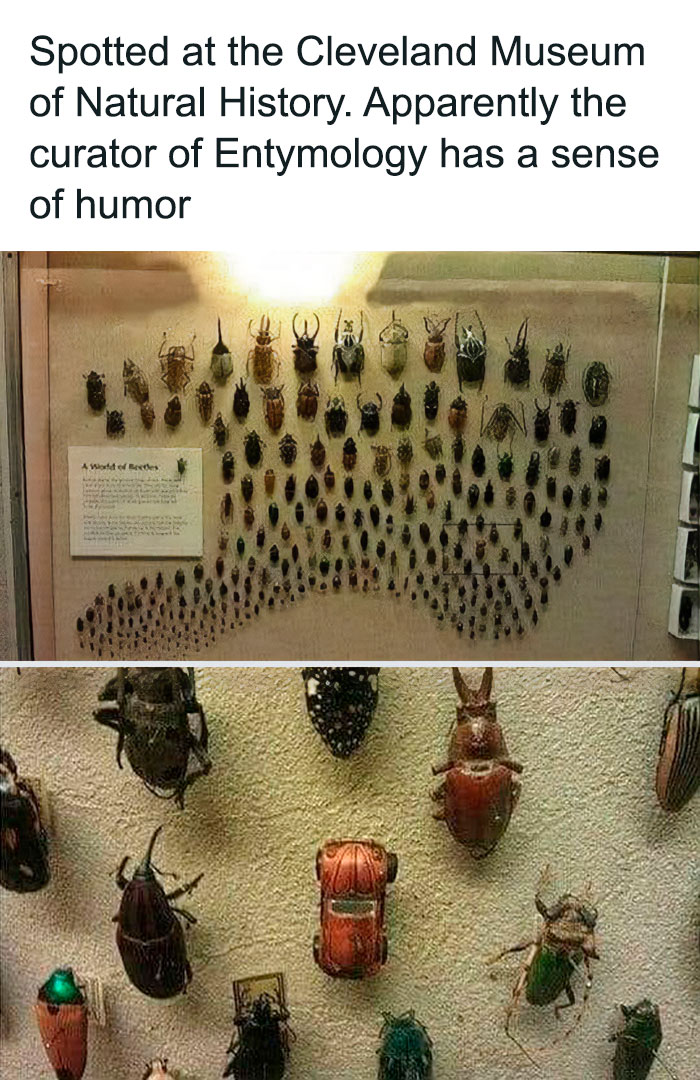 50 Of The Cleverest Science Memes That Perfectly Blend Humor With Knowledge 50 Of The Cleverest Science Memes That Perfectly Blend Humor With Knowledge