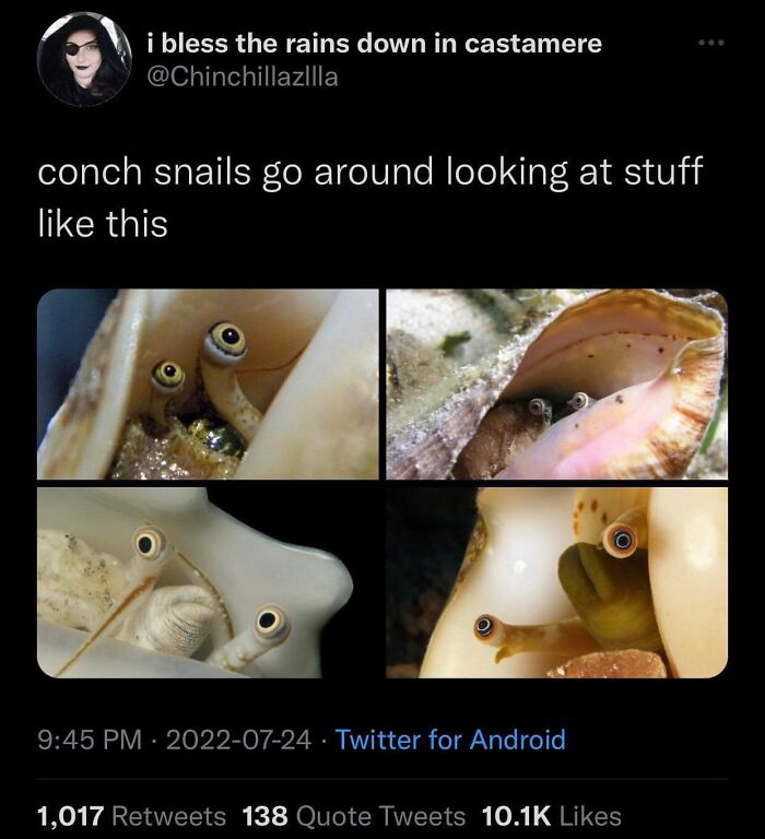 50 Of The Cleverest Science Memes That Perfectly Blend Humor With Knowledge 50 Of The Cleverest Science Memes That Perfectly Blend Humor With Knowledge