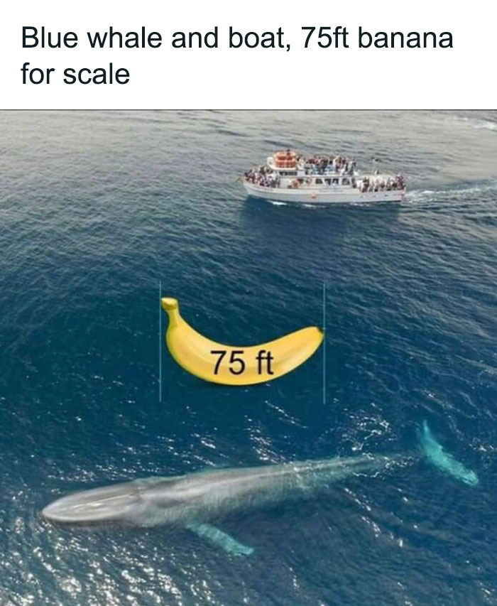 50 Of The Cleverest Science Memes That Perfectly Blend Humor With Knowledge 50 Of The Cleverest Science Memes That Perfectly Blend Humor With Knowledge