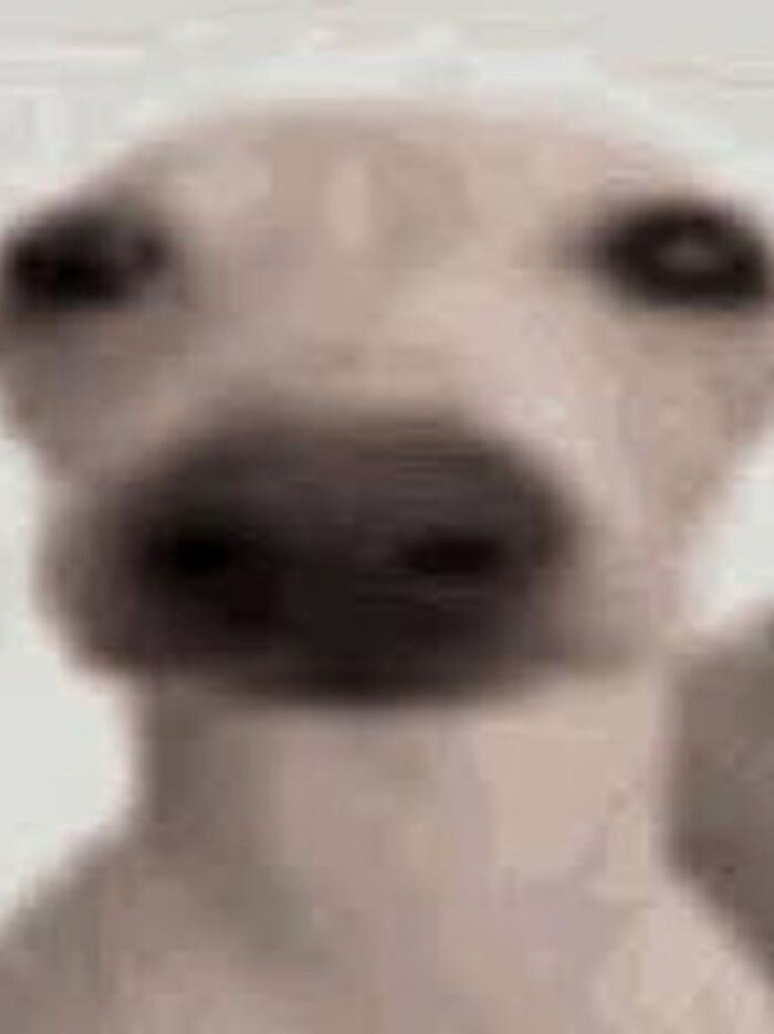 50 Of The Cleverest Science Memes That Perfectly Blend Humor With Knowledge 50 Of The Cleverest Science Memes That Perfectly Blend Humor With Knowledge