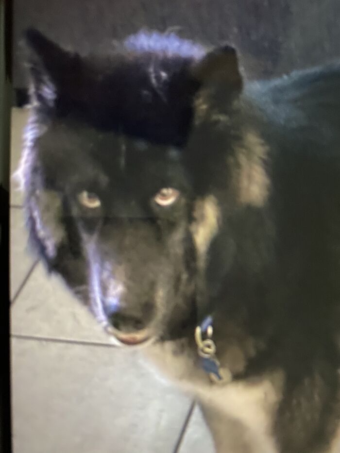 50 Of The Cleverest Science Memes That Perfectly Blend Humor With Knowledge 50 Of The Cleverest Science Memes That Perfectly Blend Humor With Knowledge