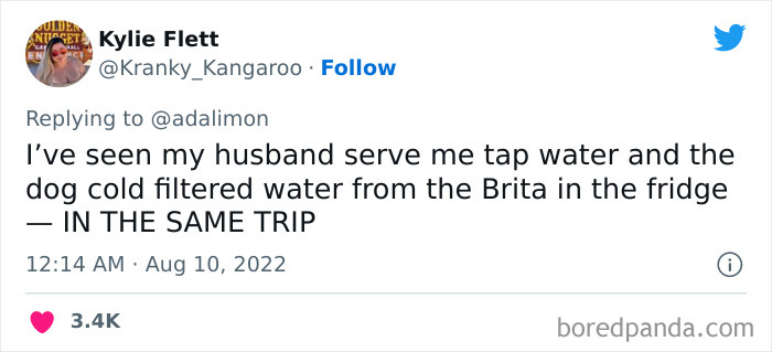 People Are Sharing Embarrassing Moments When They Thought Someone Was Speaking To Them Instead Of Their Pet, And Here Are 29 Of The Funniest Ones People Are Sharing Embarrassing Moments When They Thought Someone Was Speaking To Them Instead Of Their Pet, And Here Are 29 Of The Funniest Ones