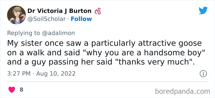 People Are Sharing Embarrassing Moments When They Thought Someone Was Speaking To Them Instead Of Their Pet, And Here Are 29 Of The Funniest Ones People Are Sharing Embarrassing Moments When They Thought Someone Was Speaking To Them Instead Of Their Pet, And Here Are 29 Of The Funniest Ones