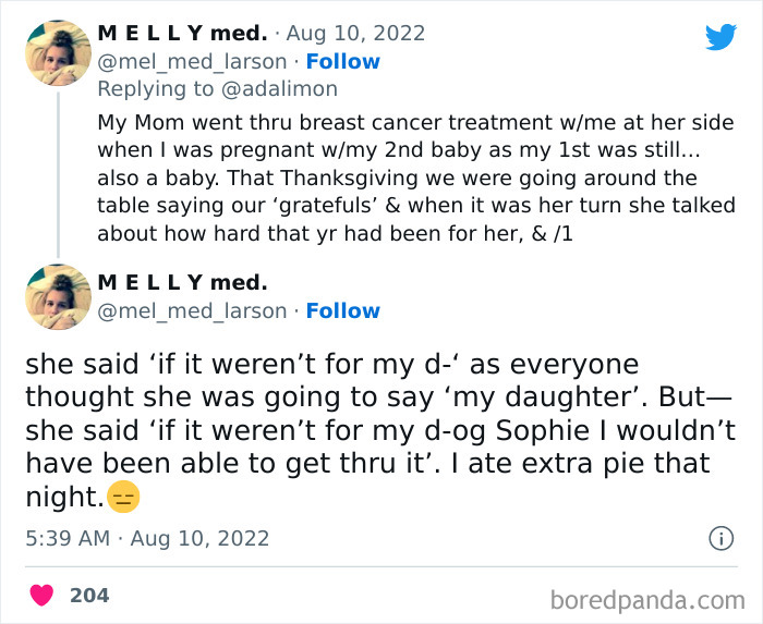 People Are Sharing Embarrassing Moments When They Thought Someone Was Speaking To Them Instead Of Their Pet, And Here Are 29 Of The Funniest Ones People Are Sharing Embarrassing Moments When They Thought Someone Was Speaking To Them Instead Of Their Pet, And Here Are 29 Of The Funniest Ones