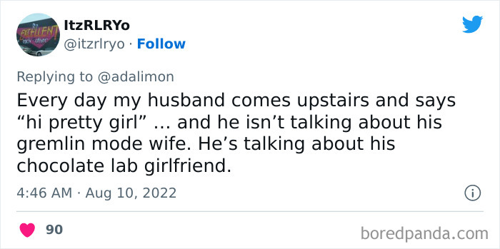 People Are Sharing Embarrassing Moments When They Thought Someone Was Speaking To Them Instead Of Their Pet, And Here Are 29 Of The Funniest Ones People Are Sharing Embarrassing Moments When They Thought Someone Was Speaking To Them Instead Of Their Pet, And Here Are 29 Of The Funniest Ones