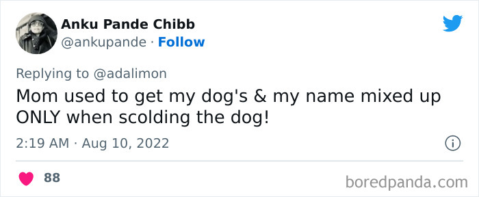 People Are Sharing Embarrassing Moments When They Thought Someone Was Speaking To Them Instead Of Their Pet, And Here Are 29 Of The Funniest Ones People Are Sharing Embarrassing Moments When They Thought Someone Was Speaking To Them Instead Of Their Pet, And Here Are 29 Of The Funniest Ones