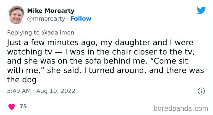 People Are Sharing Embarrassing Moments When They Thought Someone Was Speaking To Them Instead Of Their Pet, And Here Are 29 Of The Funniest Ones People Are Sharing Embarrassing Moments When They Thought Someone Was Speaking To Them Instead Of Their Pet, And Here Are 29 Of The Funniest Ones